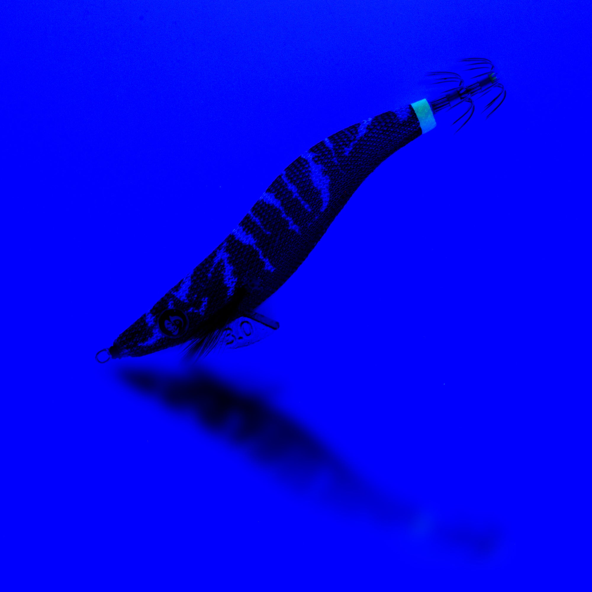 Tsuriou - Where Art Meets Science in High-Performance Squid